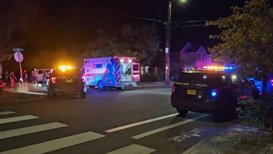 Man charged for stabbing neighbor to death in 2024 Southeast Portland ...