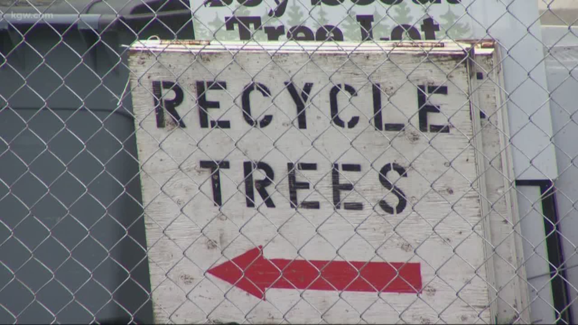 Here's where you can recycle your Christmas tree this year.