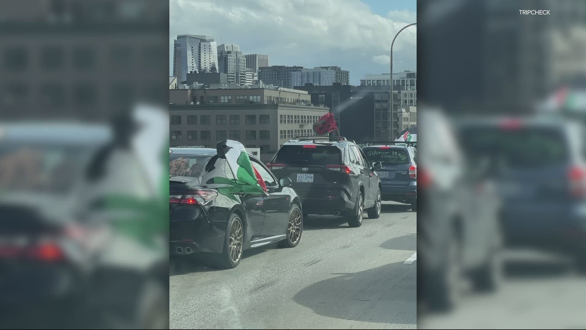 Free Palestine protesters temporarily block southbound Interstate 405