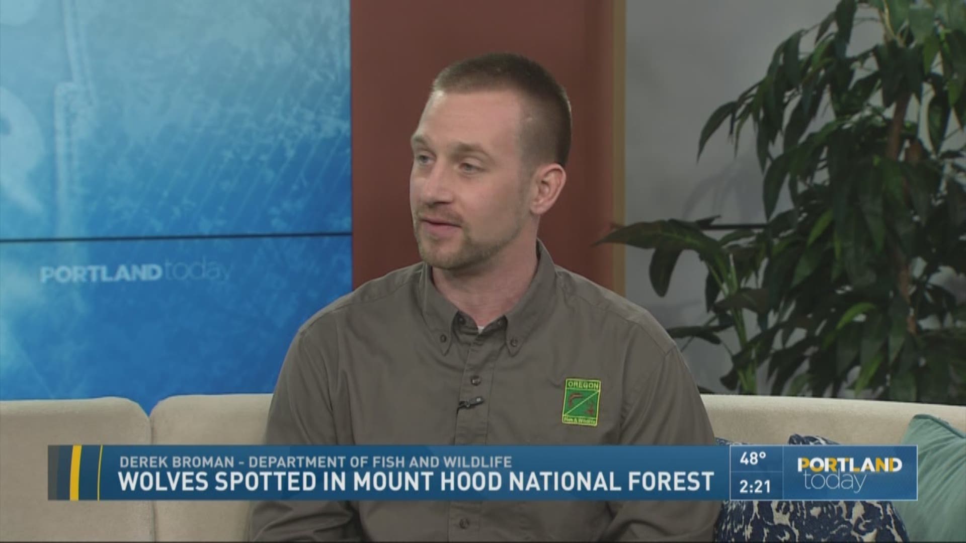 Wolves spotted in Mount Hood National Forest