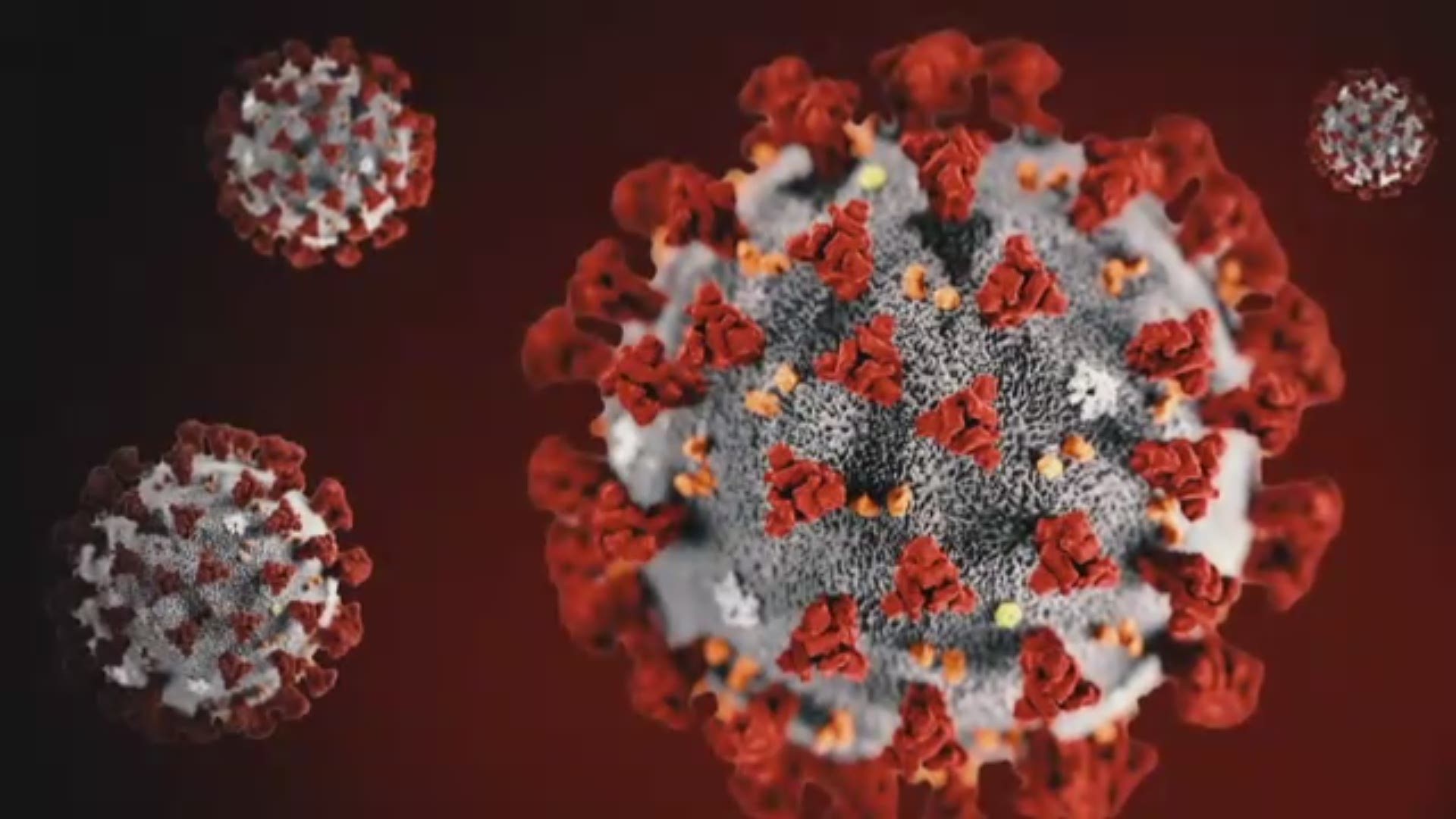 KGW's Pat Dooris explains what a coronavirus test is and how to get one.