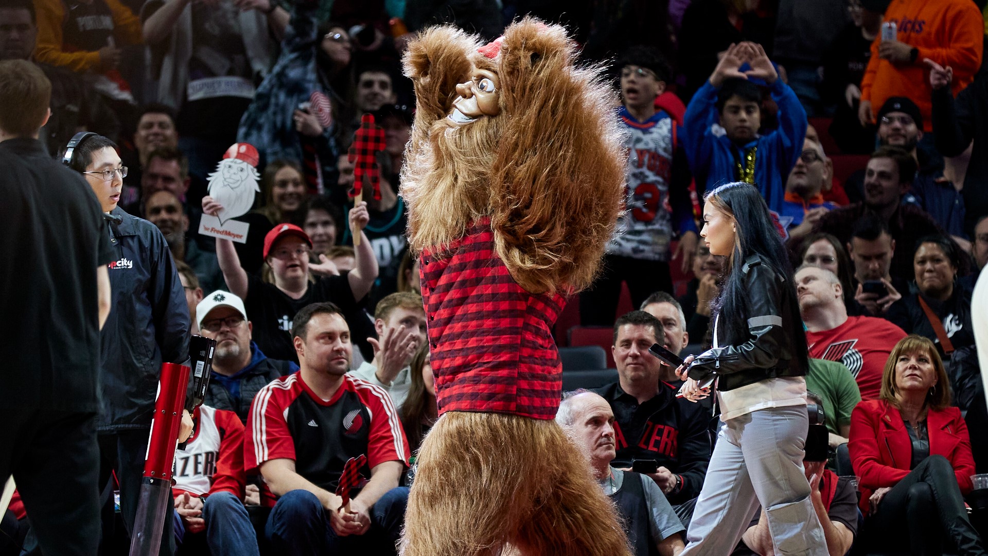 'Douglas Fur' will be joining current mascot, Blaze the Trail Cat, to help cheer on the Blazers going forward.
