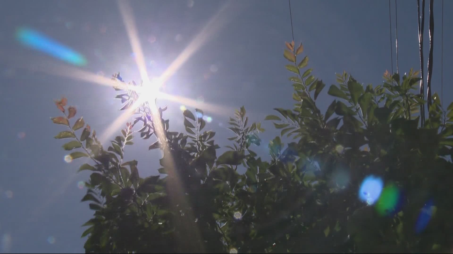 With another heat wave expected to hit Oregon in the coming days, state leaders are pleading with the public to be careful.