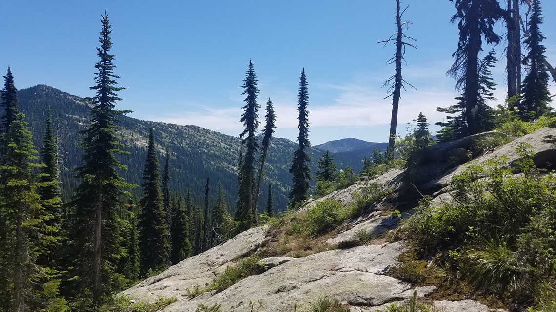 Missing Oregon mom dead, daughter alive in Idaho forest - Vimarsana News