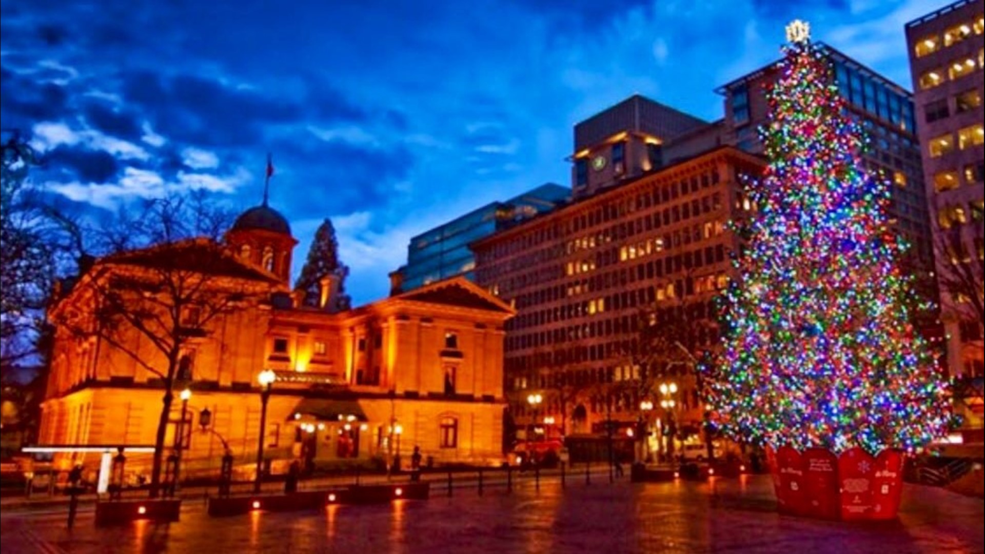 Portland's Pioneer Square Christmas tree lighting goes virtual