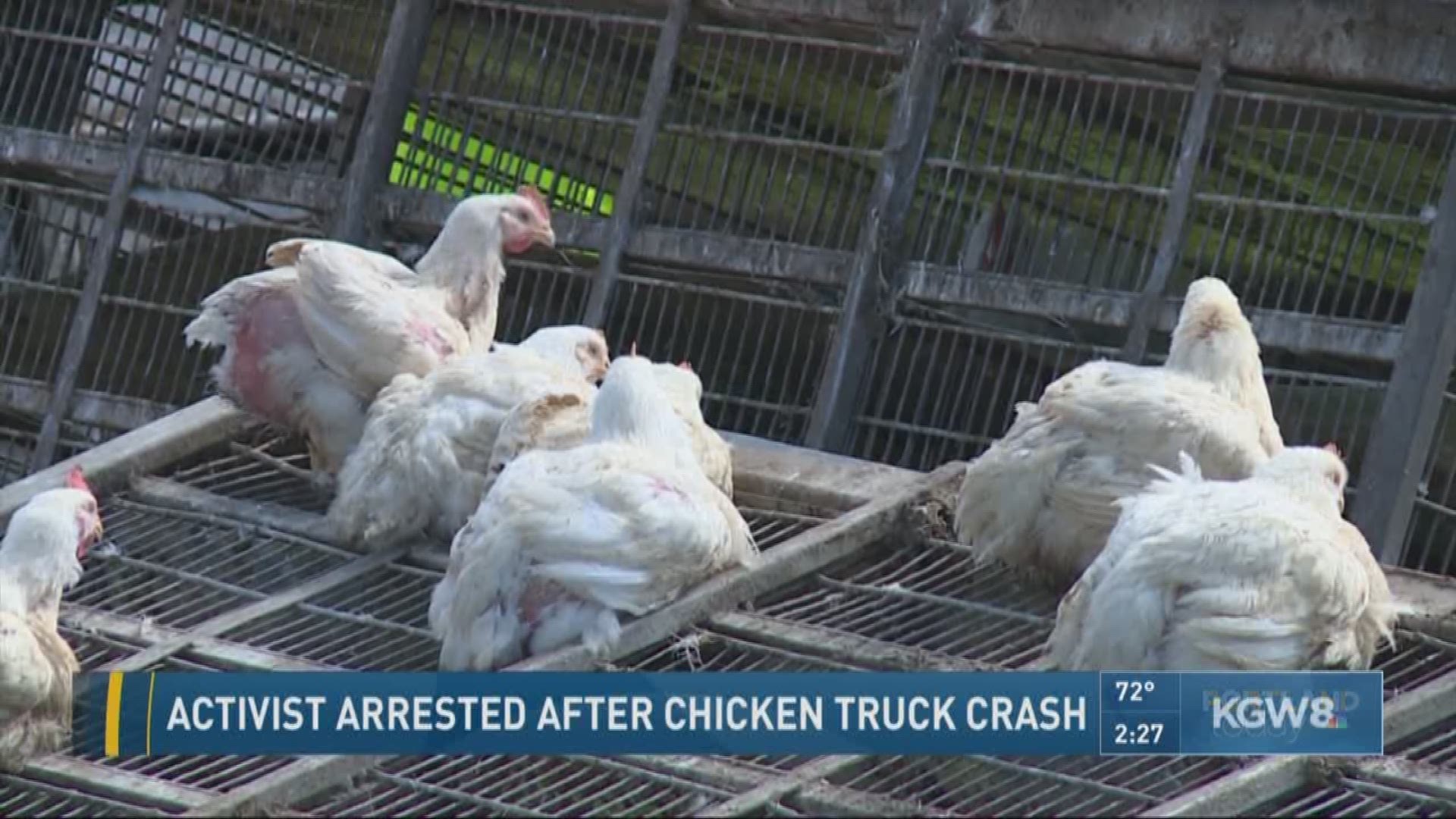 Crosses mark scene of chicken truck crash in Clark County