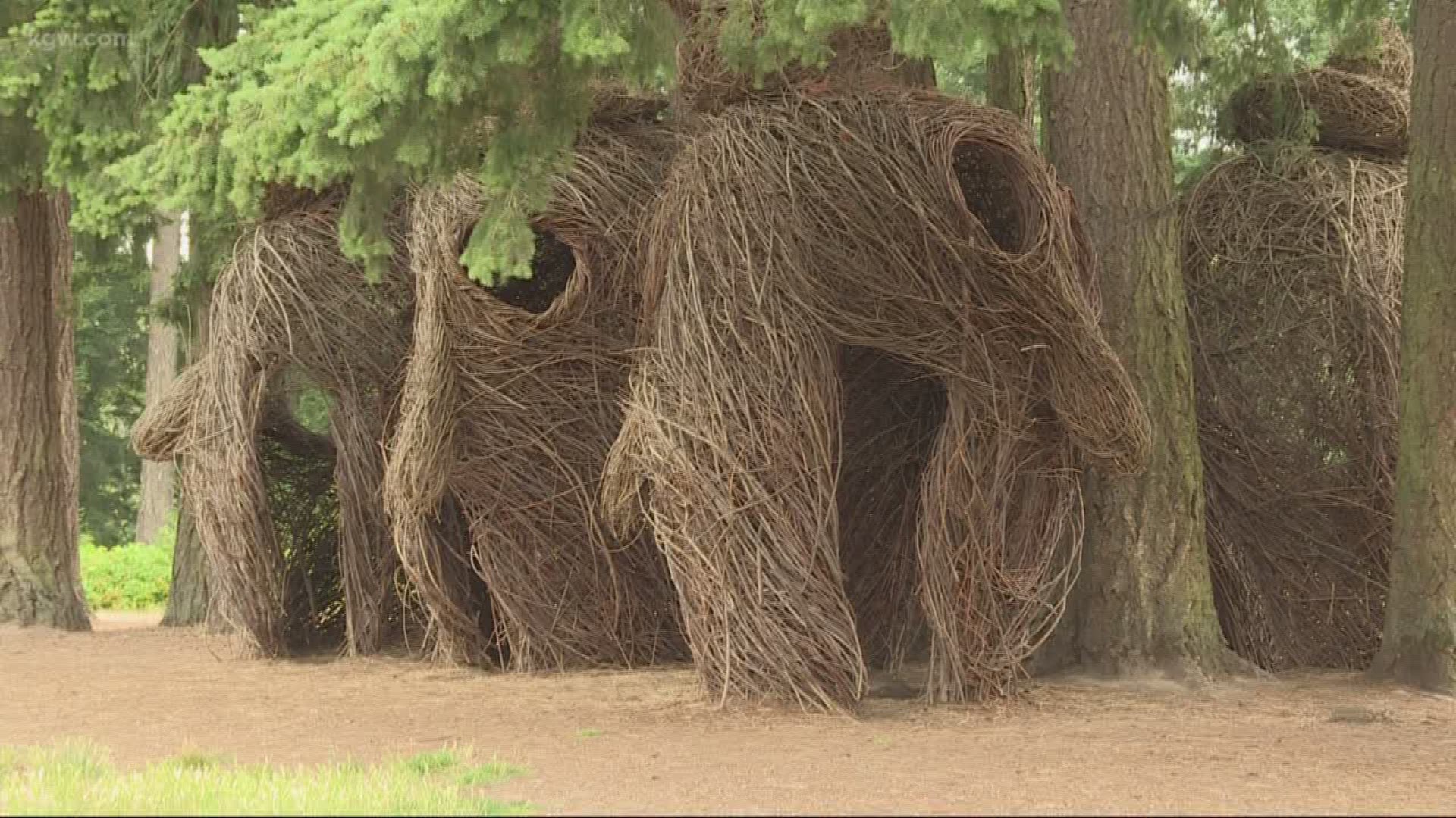 Check out the Patrick Doughtery woven stick sculpture in Orenco Woods Nature Park called 'Head Over Heels.' The faces are inspired by masks from Pacific Northwest tribes.p