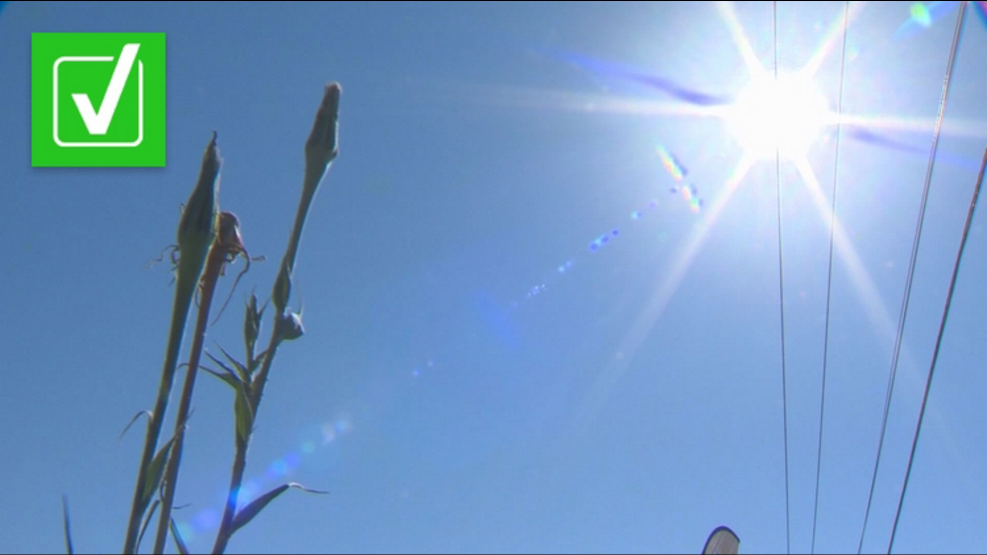 Oregon OSHA put new rules in place for worker heat and smoke protection two years ago after record-breaking temperatures in 2021 killed dozens of Oregonians.