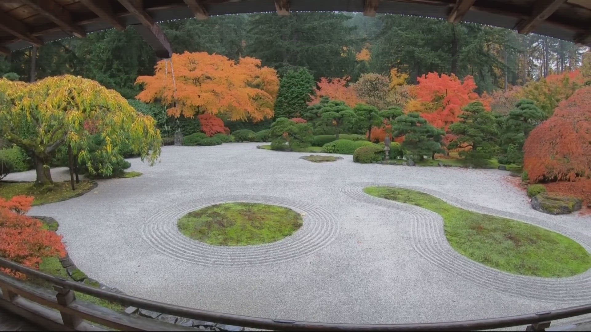 Brenda Braxton speaks with the CEO of the Portland Japanese Garden on celebrating 60 years of operation. They've announced they're spreading their mission globally.