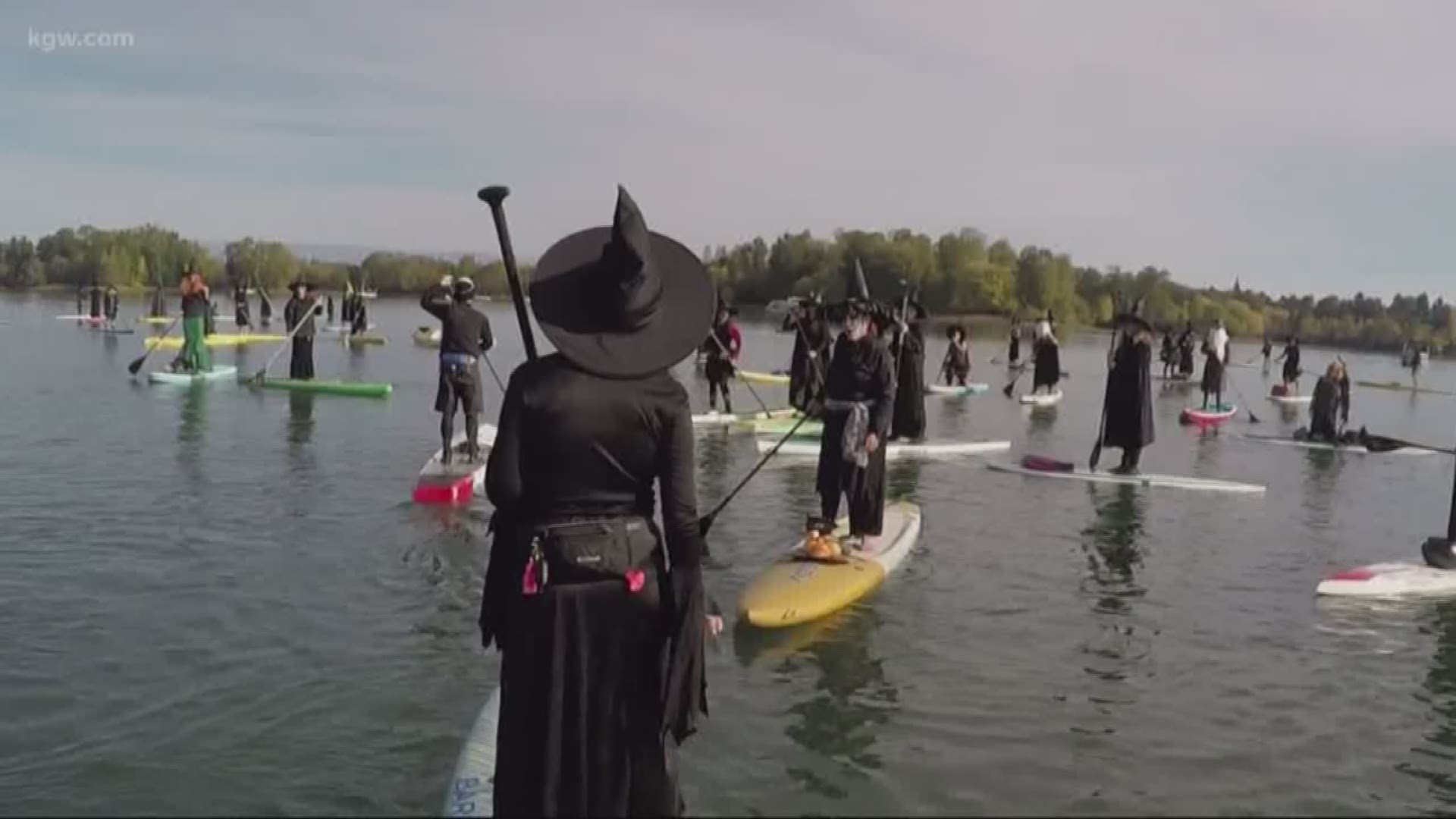 It's the weekend before Halloween, so there are a lot of spooky things happening around Portland! Including Rojo the Llama's retirement party, and a witch paddle!