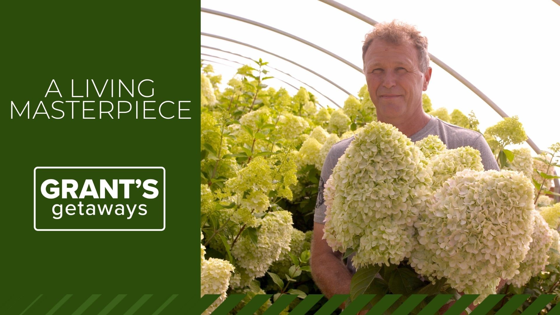 Join Grant McOmie as he visits the Tillamook County farmland Oregon’s Hydrangea Ranch owned by Pat Zweifel