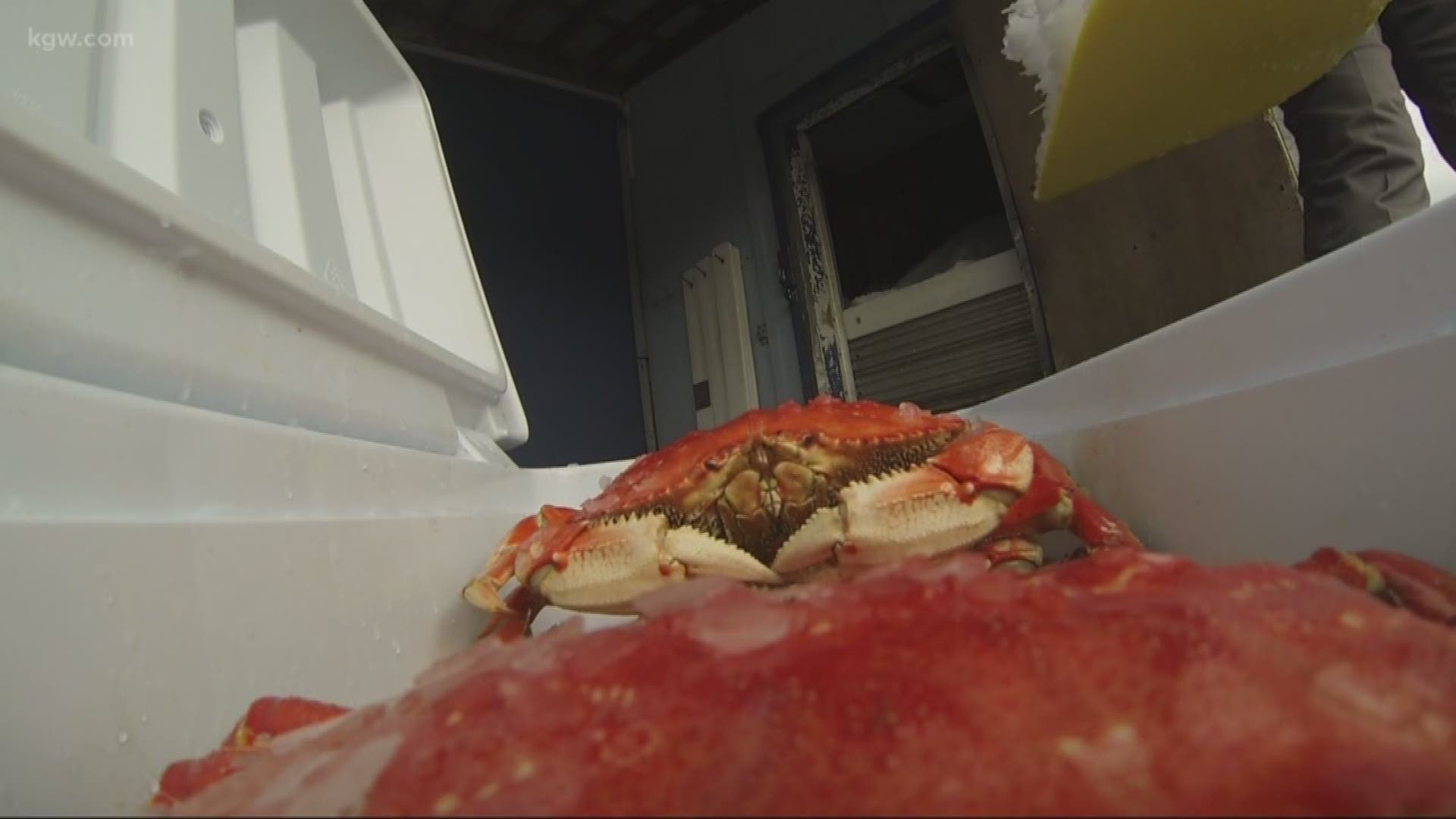 Grant get some recipes and tips for amazing Dungeness crab recipes for the Superbowl.