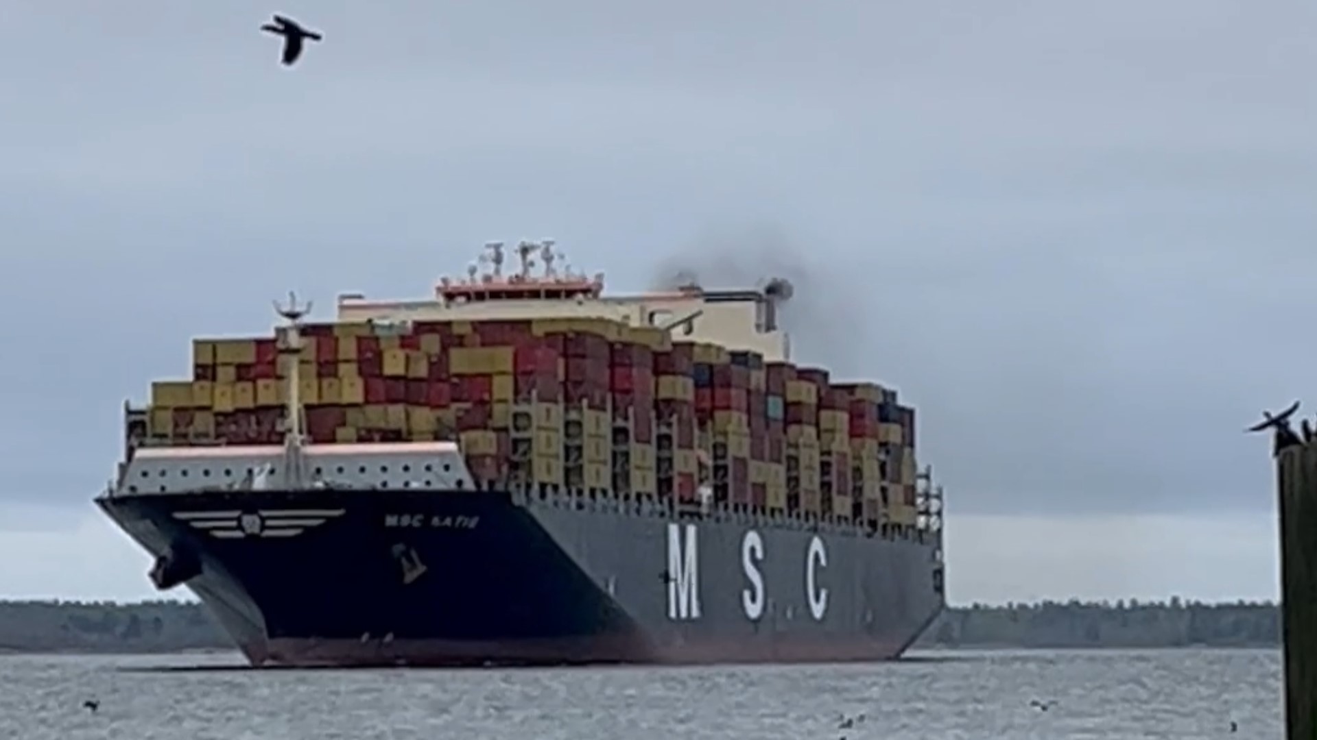 The container ship MSC Katie is 1,200 feet long and has a cargo capacity equivalent to 12,400 standard 20-foot shipping containers.