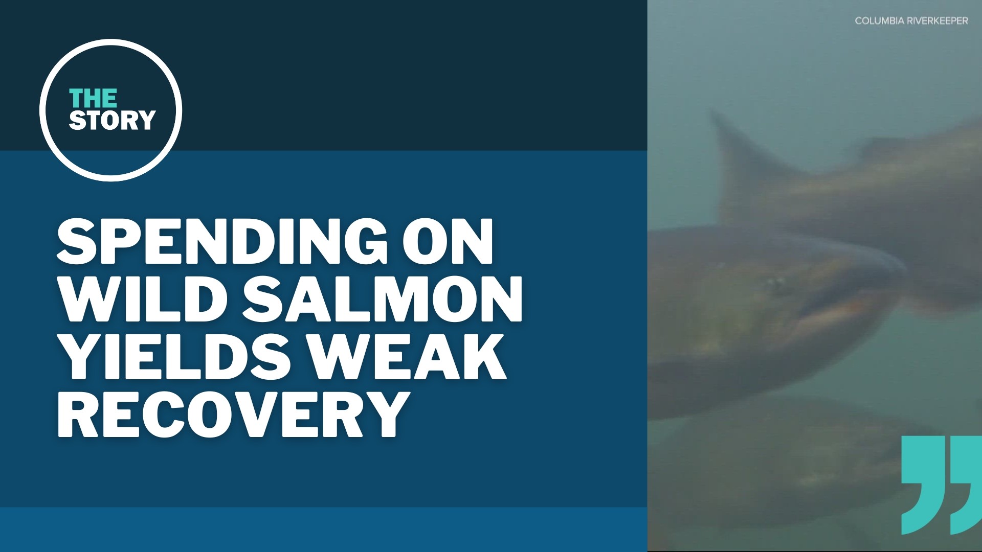 Despite roughly $9 billion in taxpayer money spent over four decades, the study's author said he could "not find evidence of an increase in wild fish.”