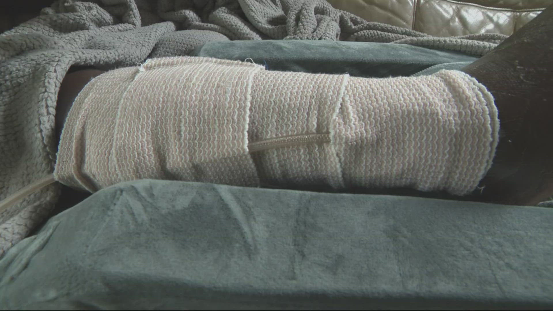 Woman recovering after dog attack in Northeast Portland | kgw.com