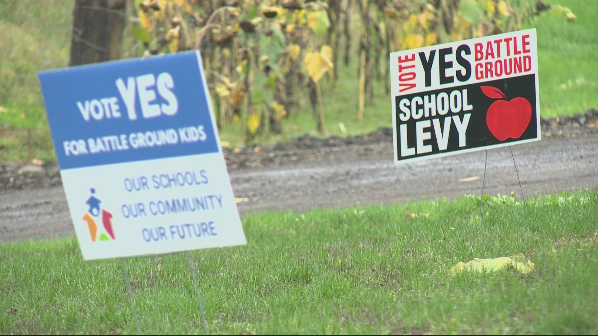 The school board voted unanimously last week to put a replacement levy for an upcoming special election.