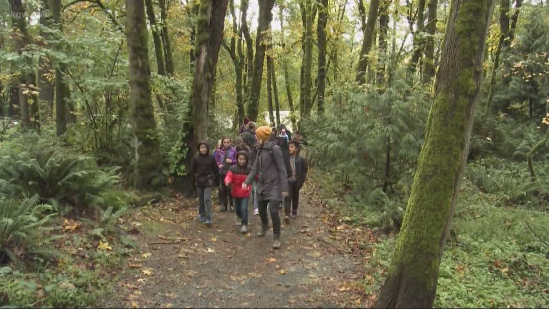 26 fifth-grade students from Southeast Portland’s Marysville Elementary School gathered for science class along the Maple Ridge Trail.