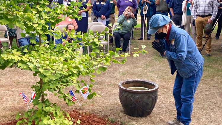 Hiroshima bombing recalled in Oregon 'peace trees' campaign