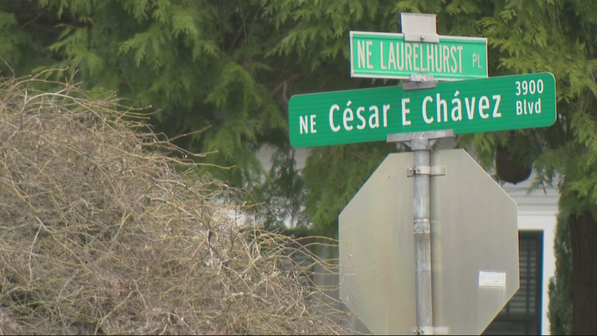 Allegations against Cesar Chavez spark renaming discussions in Portland ...