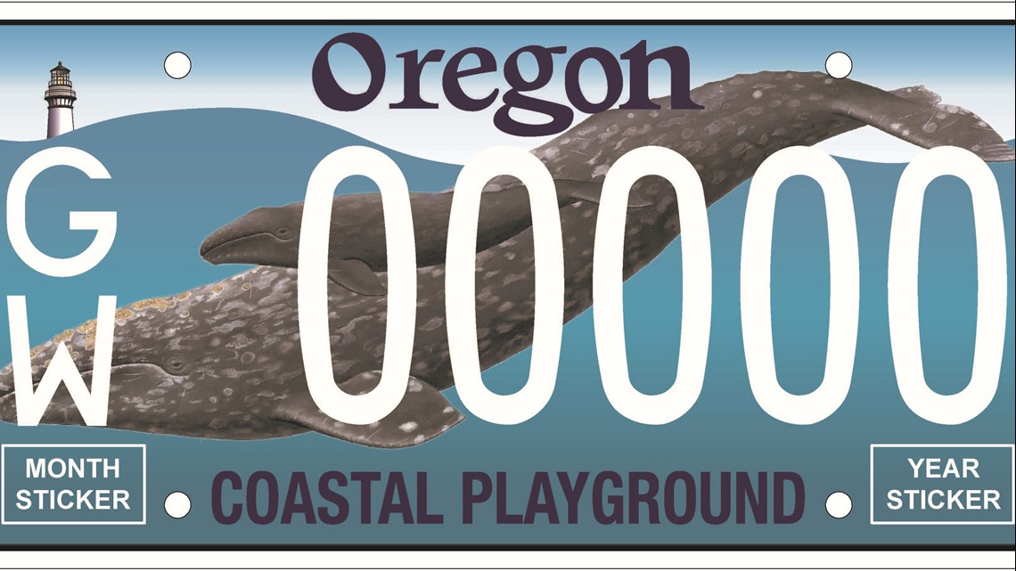 Oregon gray whale license plate funds $300K in research, protection - KGW.com