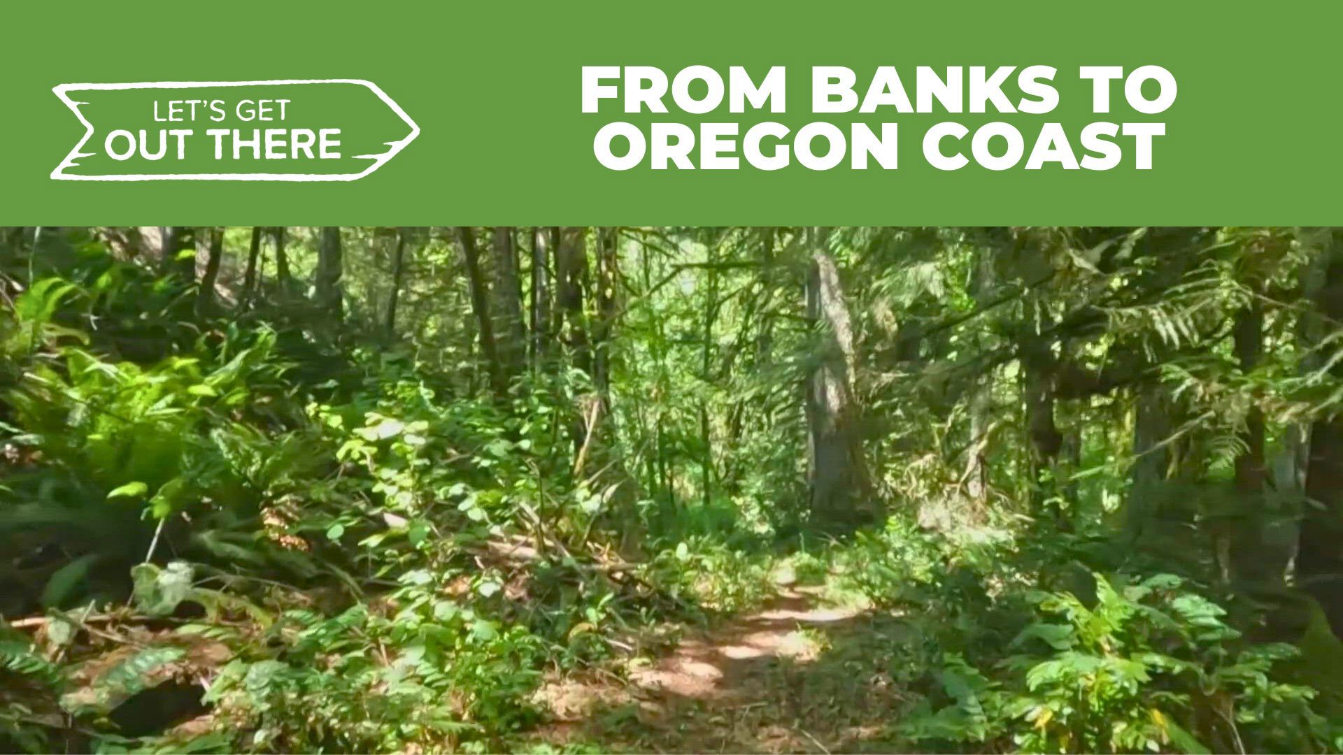 Work continues to create the Salmonberry Trail, which will connect the town of Banks to the Oregon Coast for hikers, bikers and equestrian use.