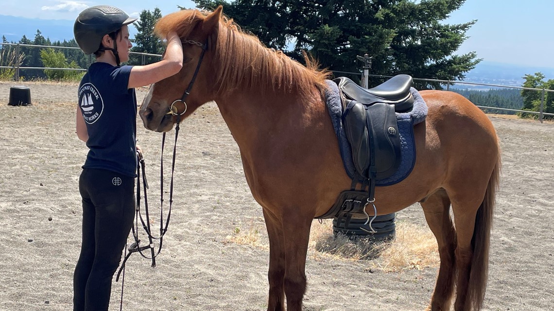 Oregon horse trainer prepares for Icelandic horse championships
