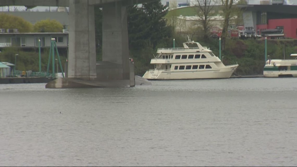 Heavy rain triggers sewer overflow into Willamette River - Vimarsana News