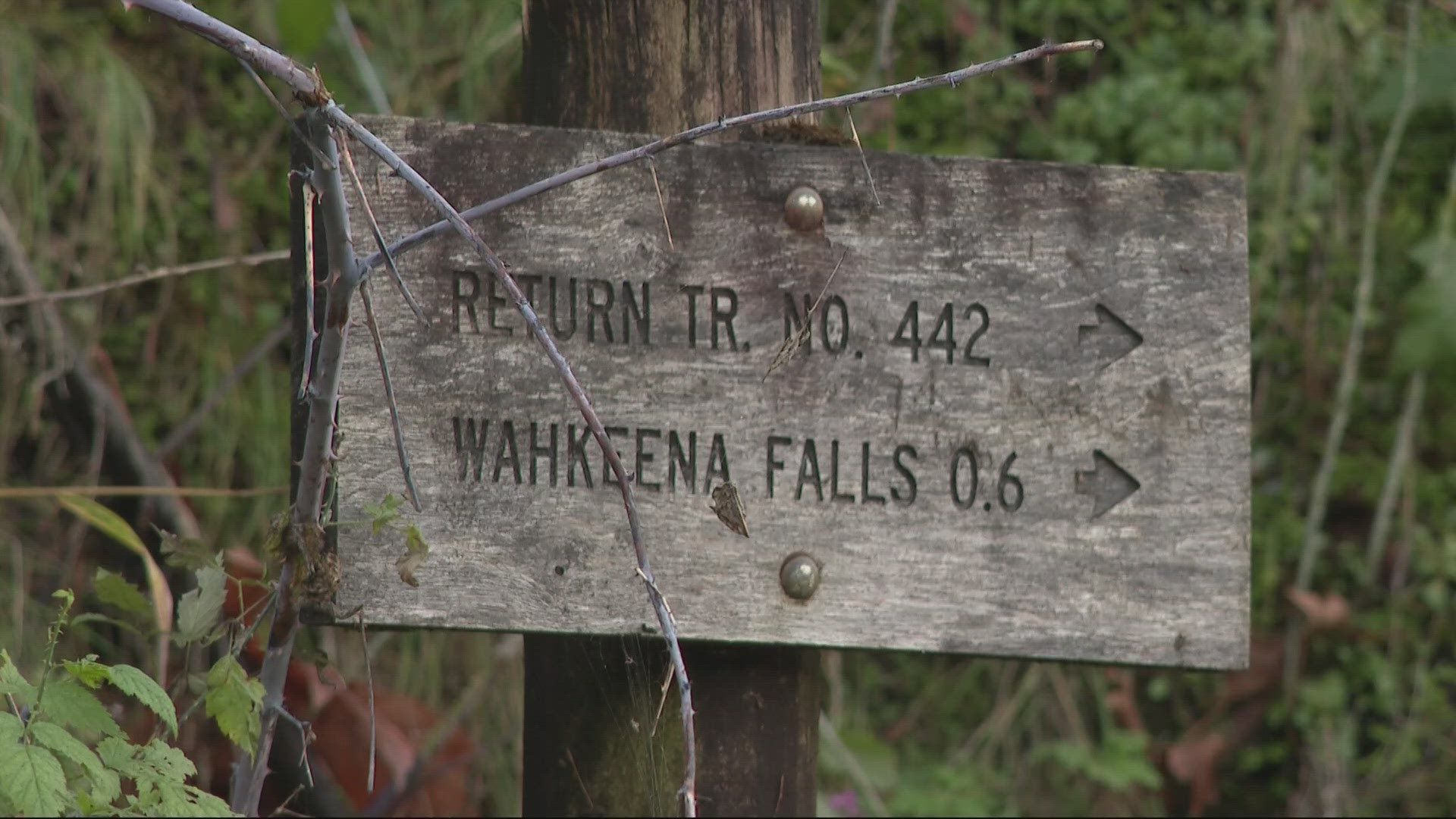 A visually impaired hiker was able to be reunited with his wife after getting lost on the trail.