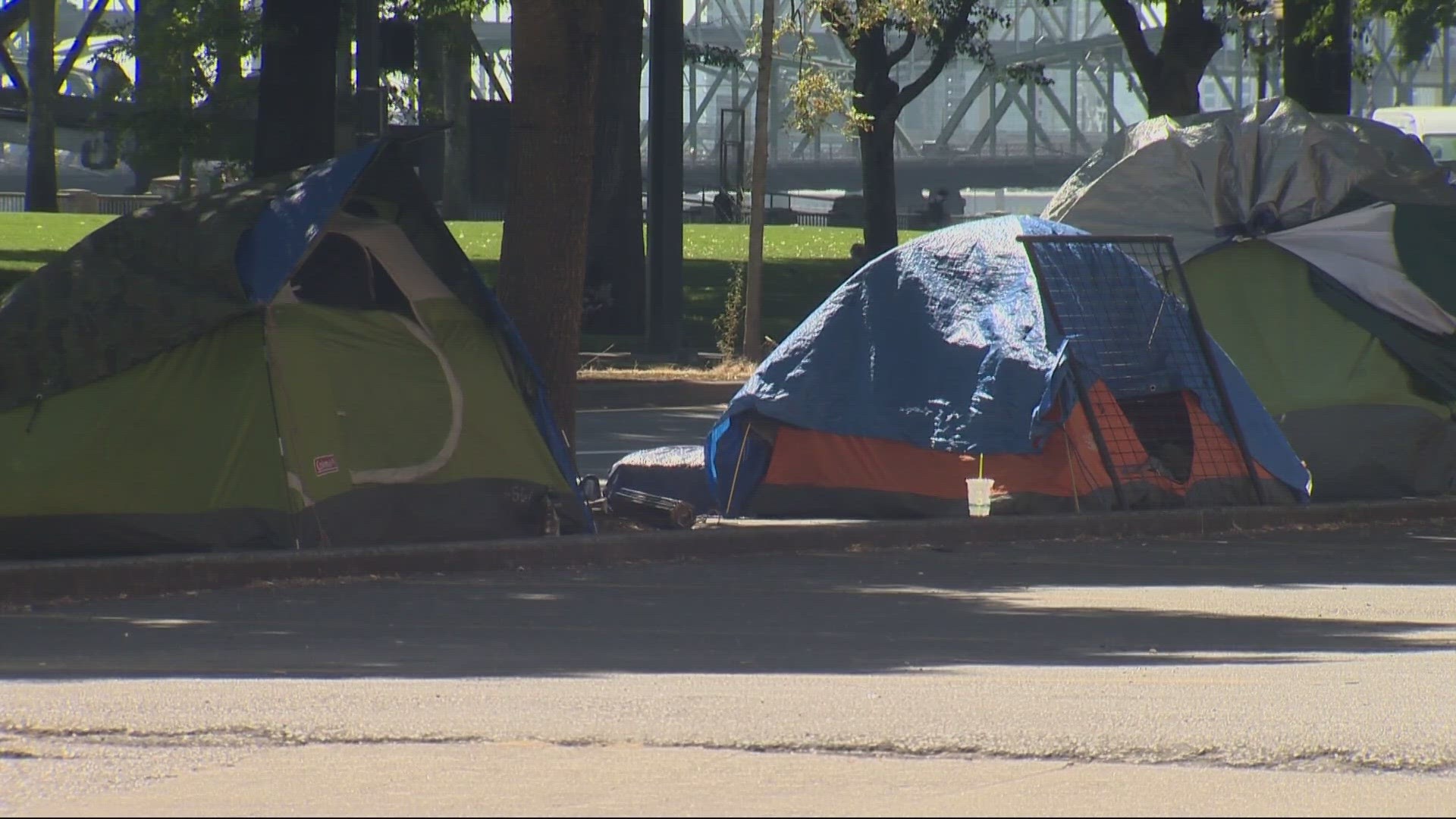 The ban prohibits camping on sidewalk areas for pedestrians, areas near construction sites, schools, daycares, existing shelters, and high crash corridors.