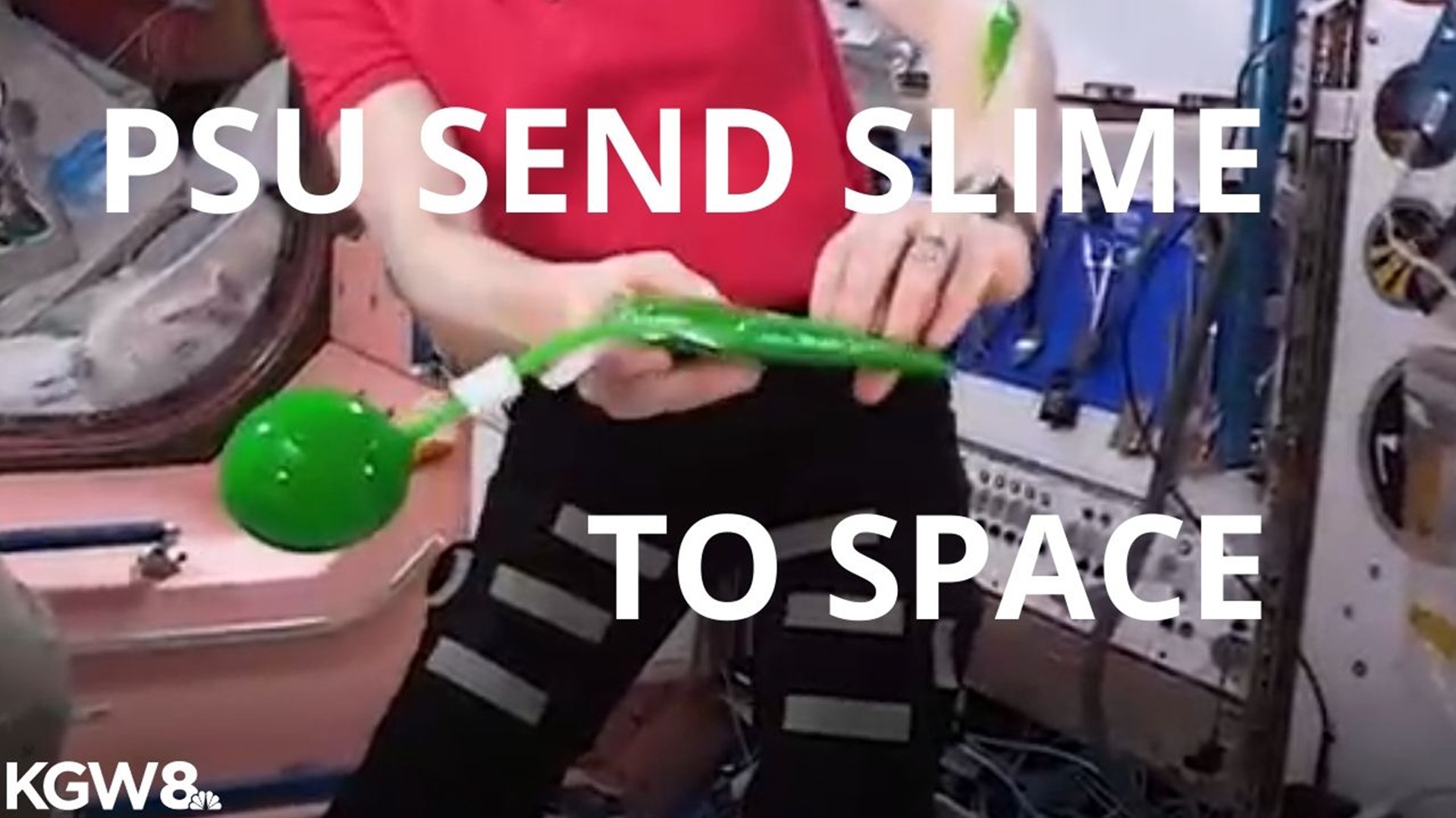 Sending slime into outer space. How PSU researchers made it happen.