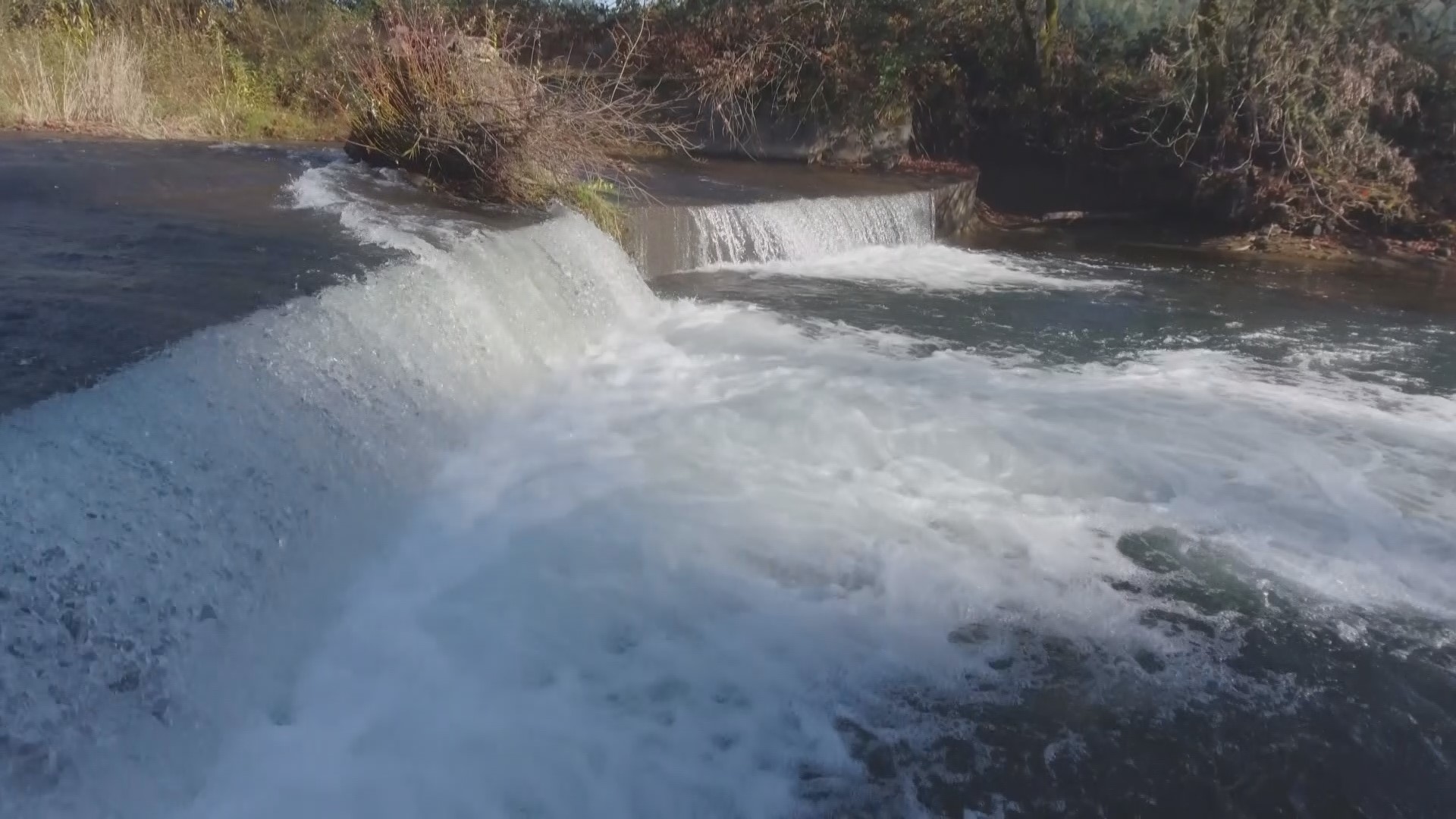 The nearly 100-year-old dam is the number one fish passage barrier in the Tualatin Basin. It's set to be removed this summer.