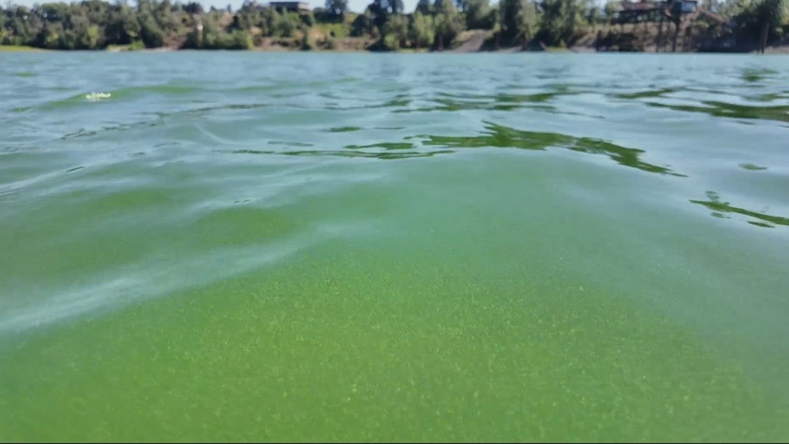 Oregon Health Authority issues advisory for parts of Willamette River, Ross Island Lagoon