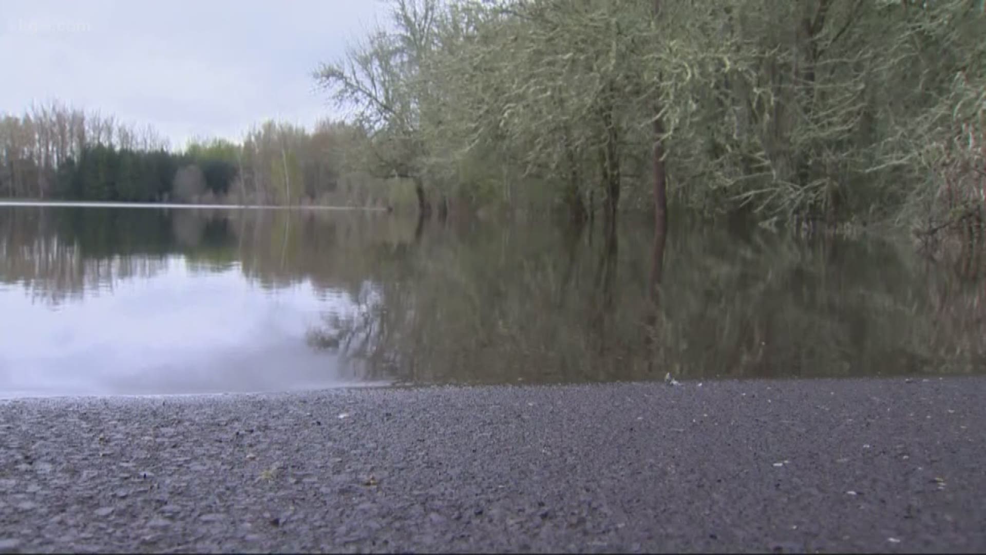 Heavy rain caused flooding in parts of Marion County.