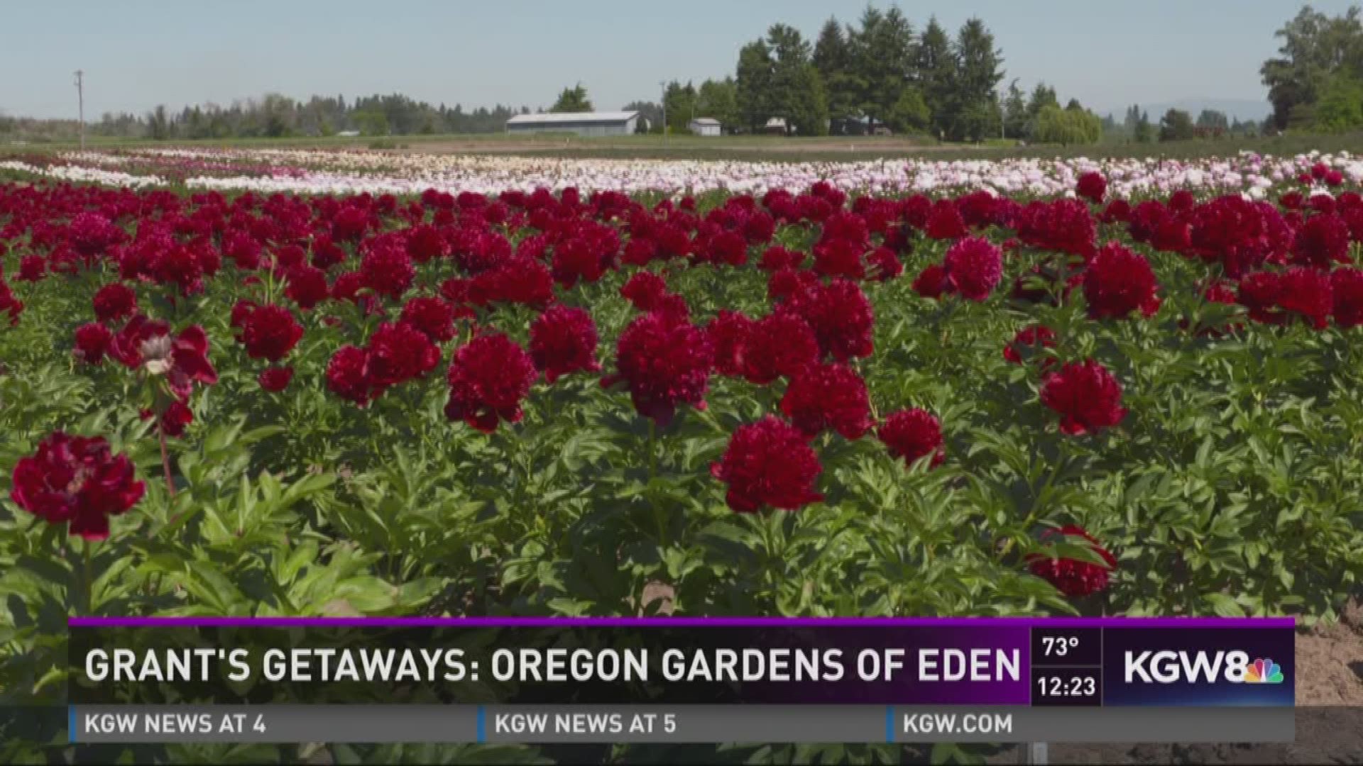 Grant's Getaways: Oregon Gardens of Eden