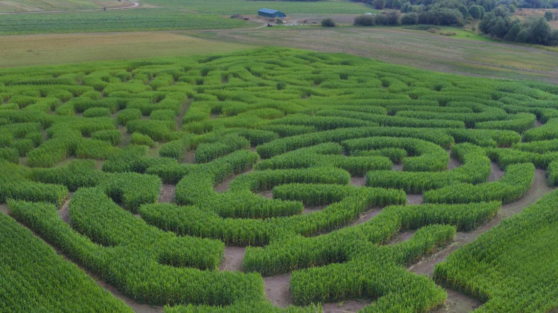 Complex Autumn corn maze reopens on Sauvie Island