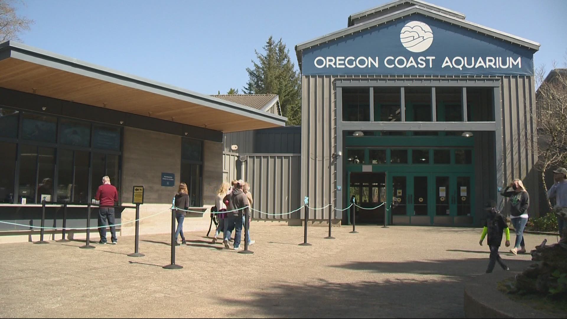 Before you visit the Oregon Coast Aquarium, there’s some info you need to know. Jon Goodwin shows us some of the measures keeping guests safe.