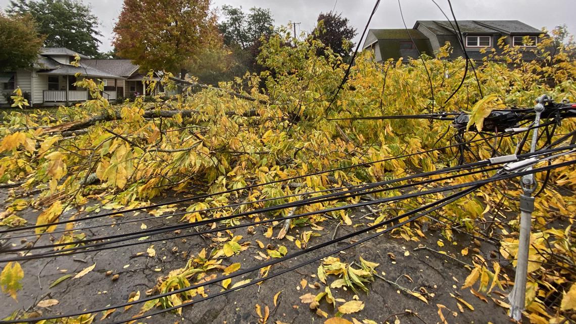 Photos Downed trees across Portland
