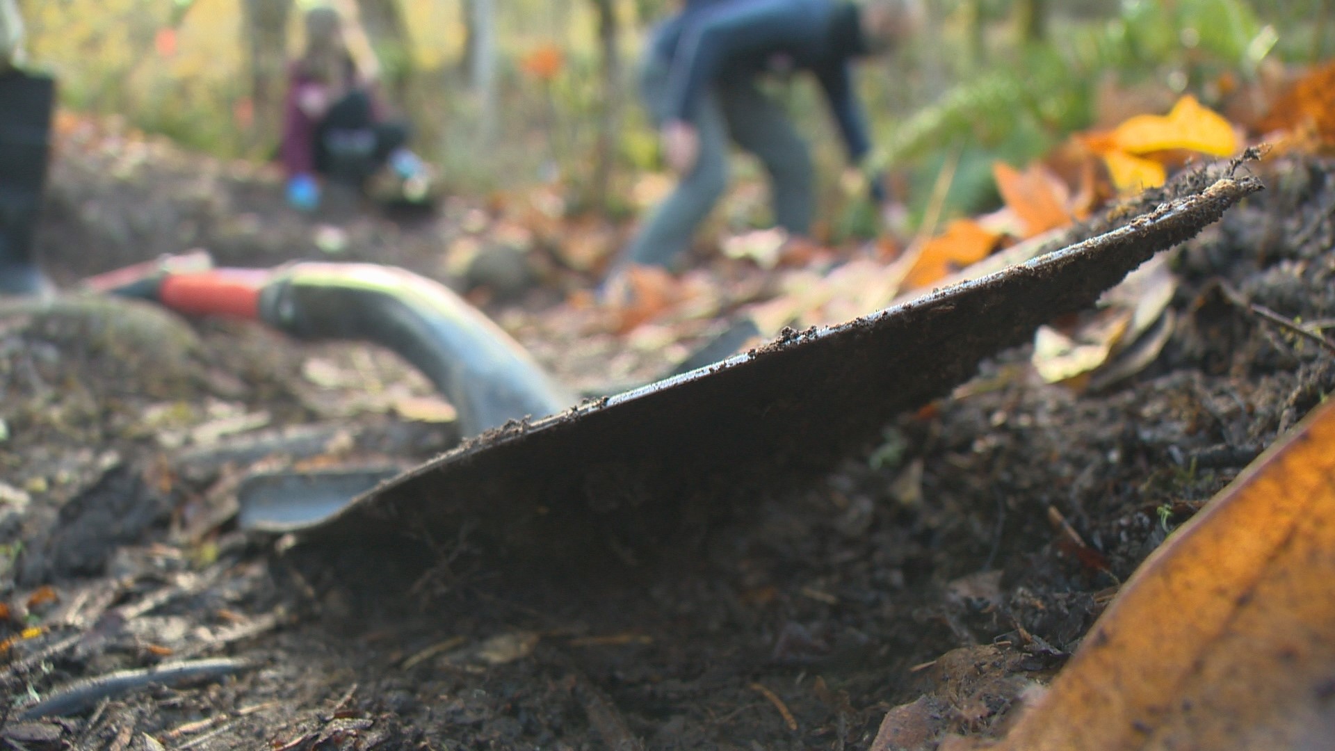 Let's Get Out There Blazing a trail with students of Molalla River