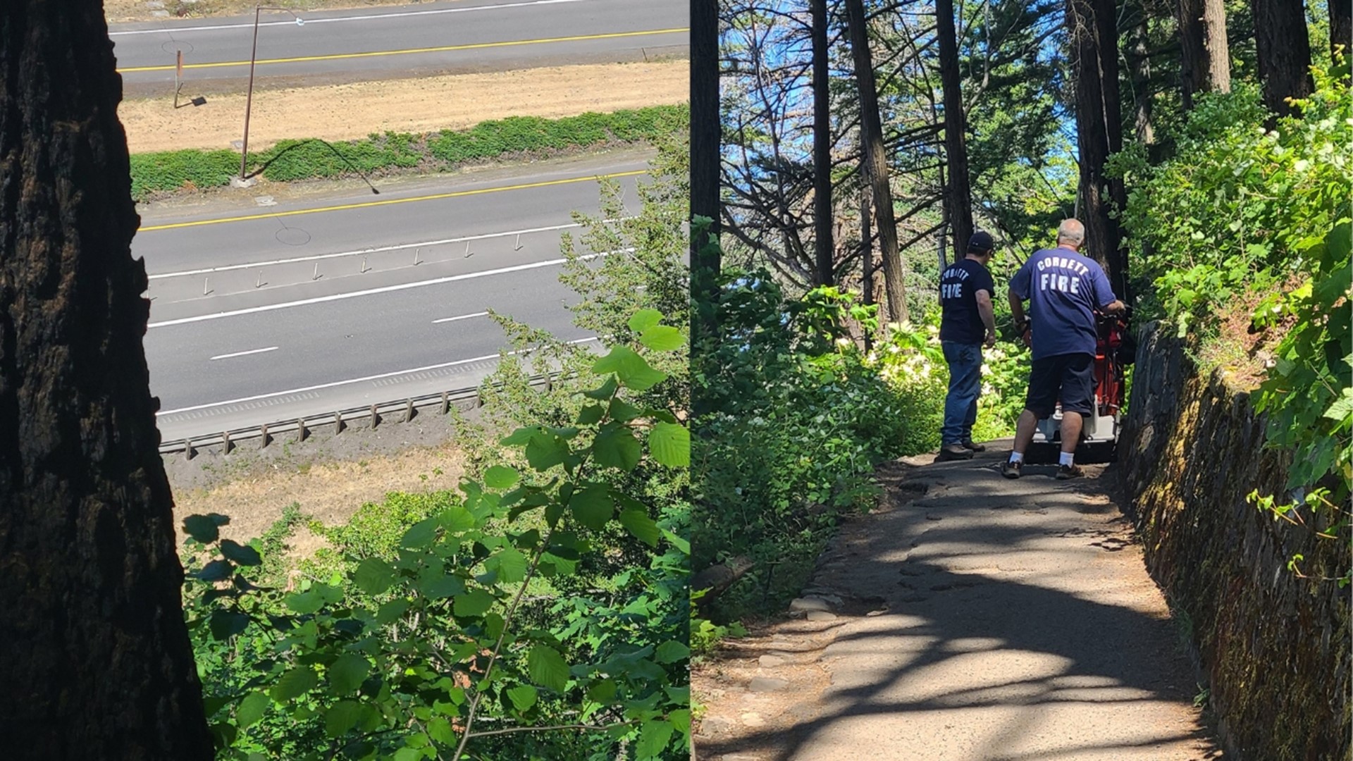 A man fell while hiking at Multnomah Falls in the Columbia River Gorge early Saturday afternoon. He did not survive his injuries, according to authorities.