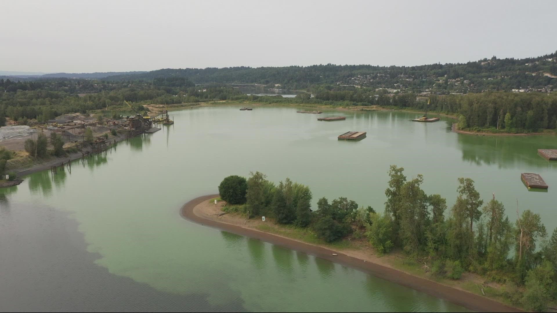 The Oregon DEQ and OHA are monitoring a blue-green algae bloom in the Willamette. Activists and scientists are looking at ways to prevent these blooms from happening