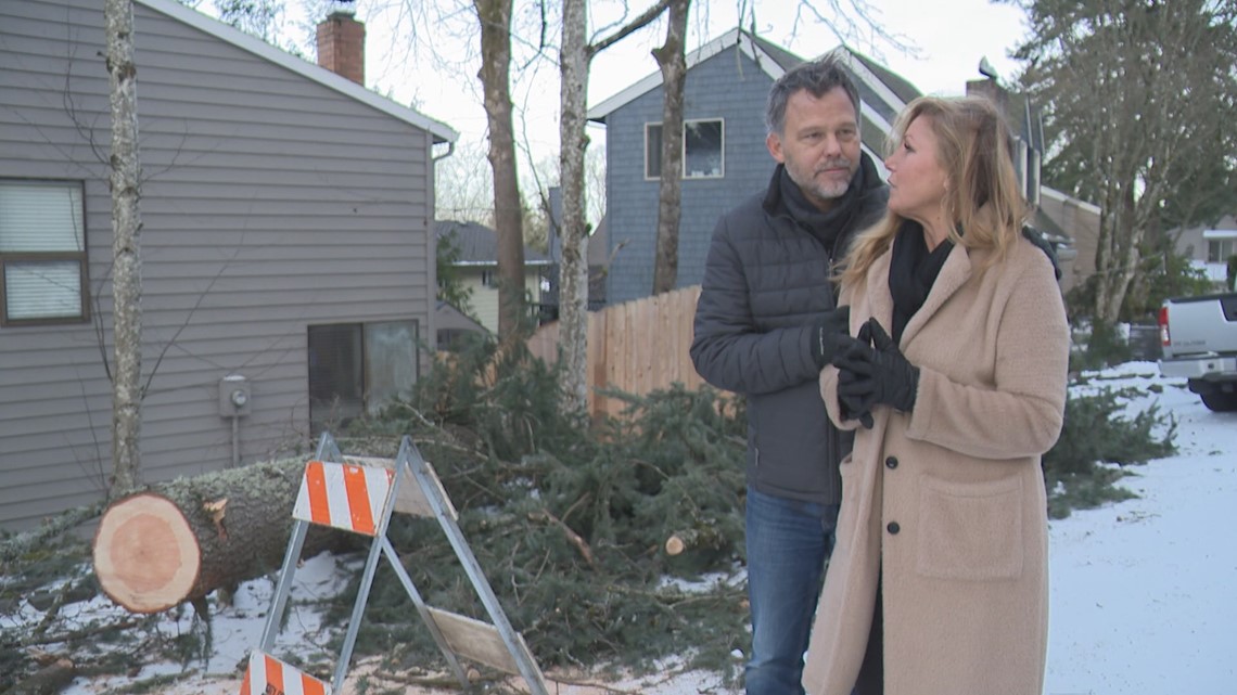 Amid freezing rain, Lake Oswego residents brace for fallen trees