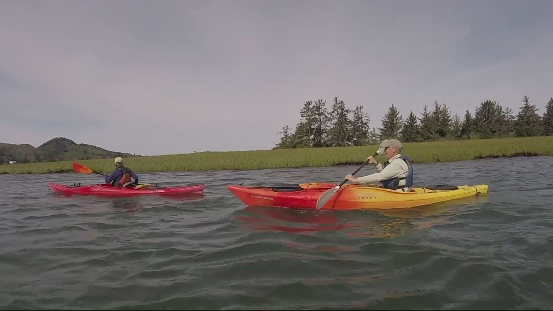 Tillamook's coastal estuaries offer adventure and a unique view of Oregon's landscape. Kayak Tillamook provide the supplies needed to explore the water.