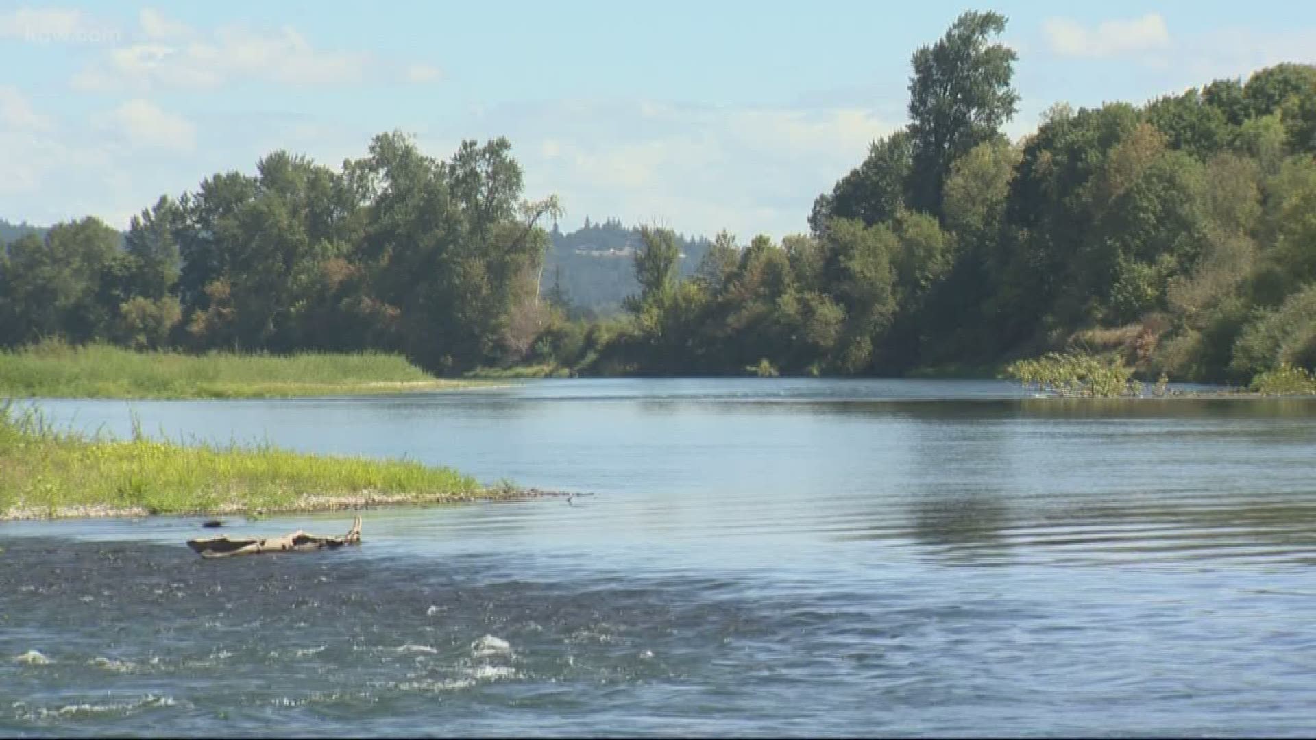 Body of woman found in Willamette River after official search was suspended