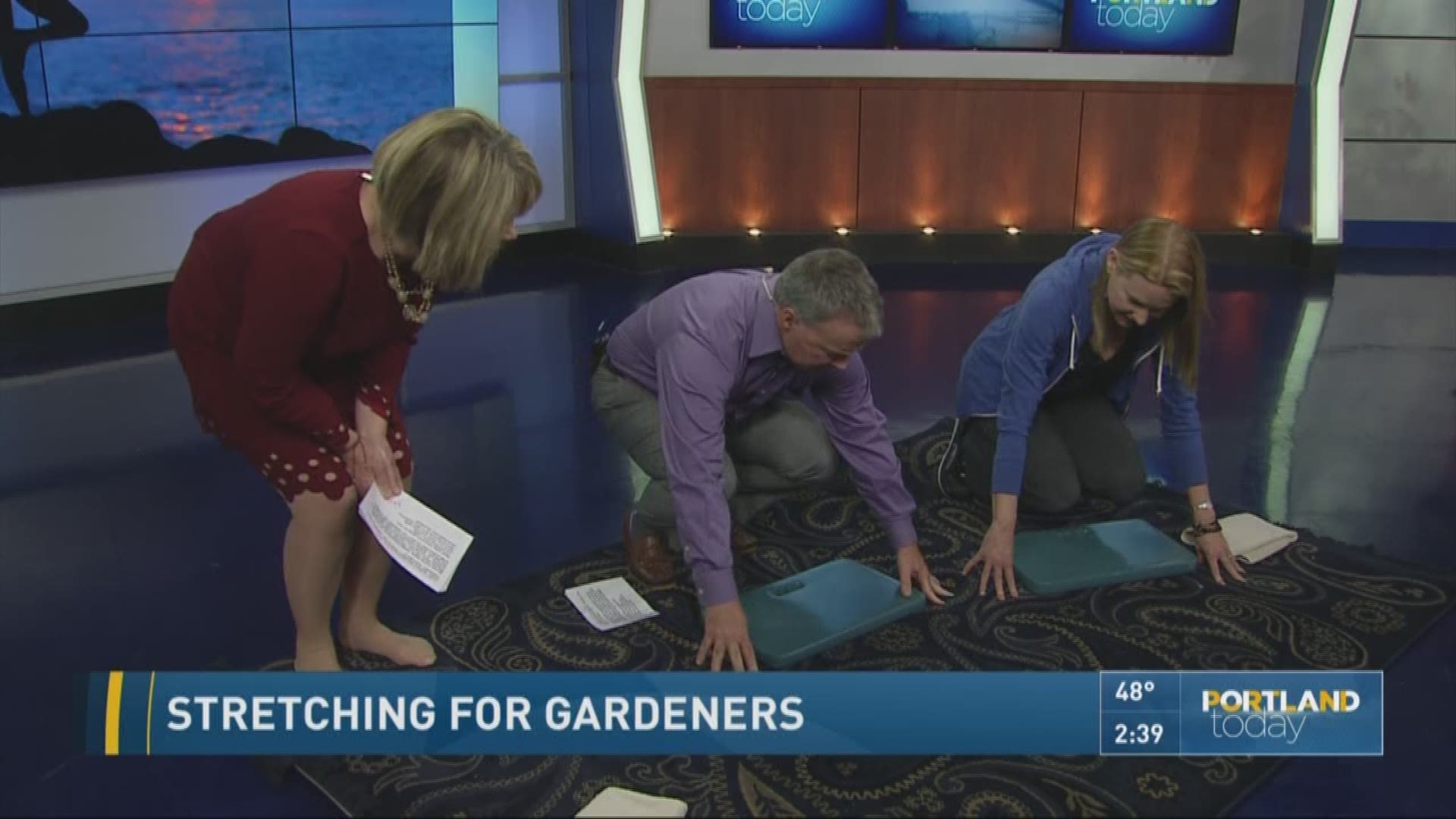Stretching for gardeners