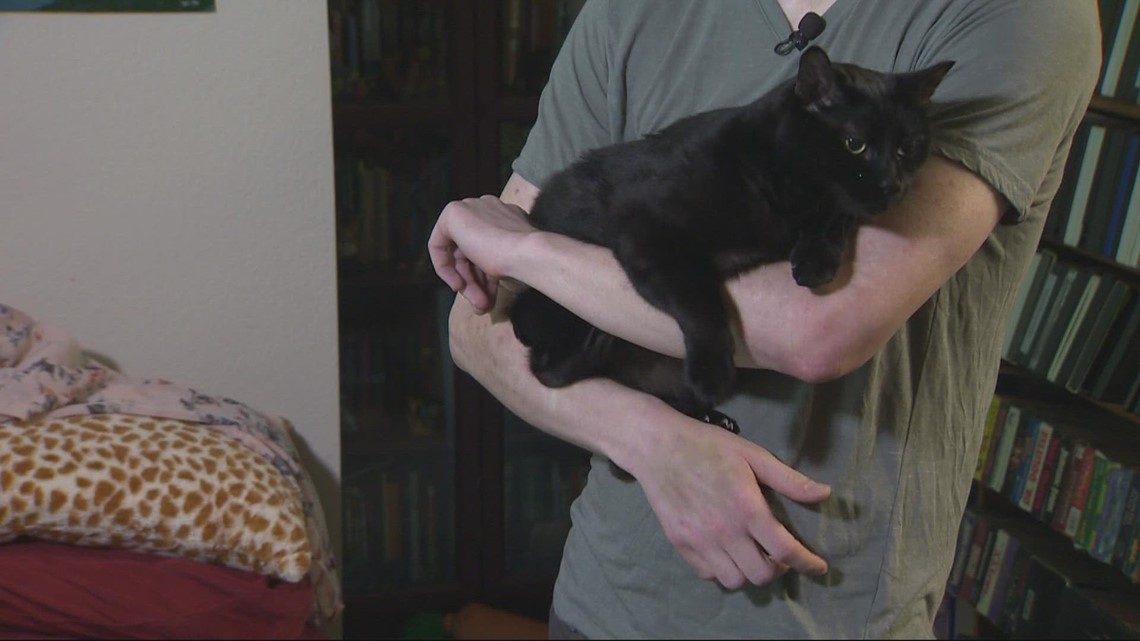Beaverton cat battling cancer getting help from the Magic Bullet Fund