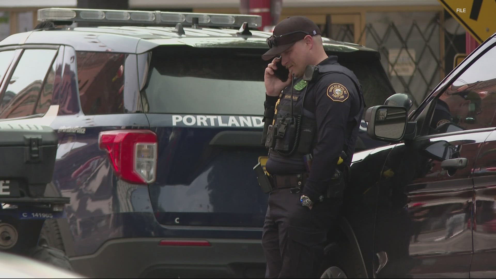 Portland City Council approves amendment to divert $2 million in proposed police funding to city parks to cover maintenance costs slashed in mayor's budget.