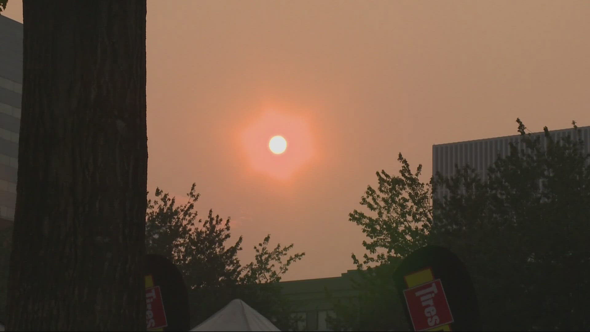 The effects of wildfires, extreme heat and overall climate change are costing Oregonians thousands of dollars a year, researchers say.