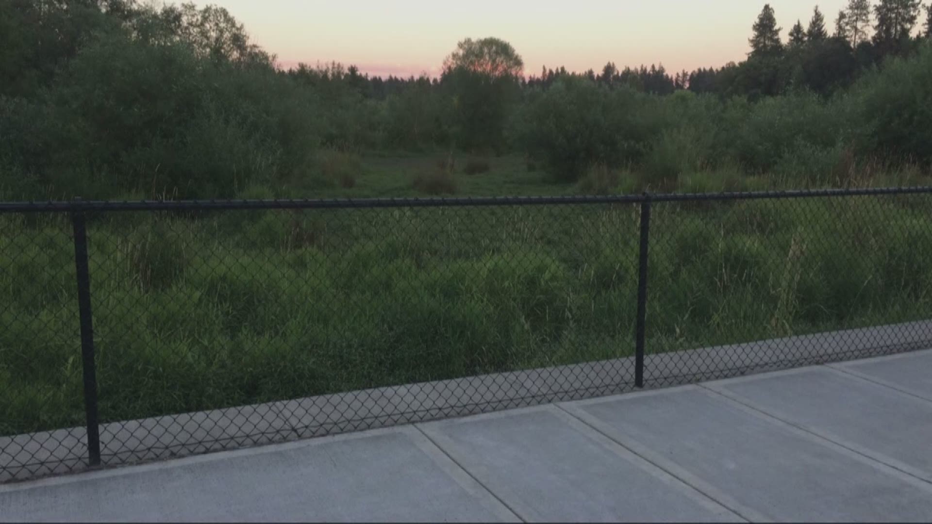 Cougar sighting at park raises concerns