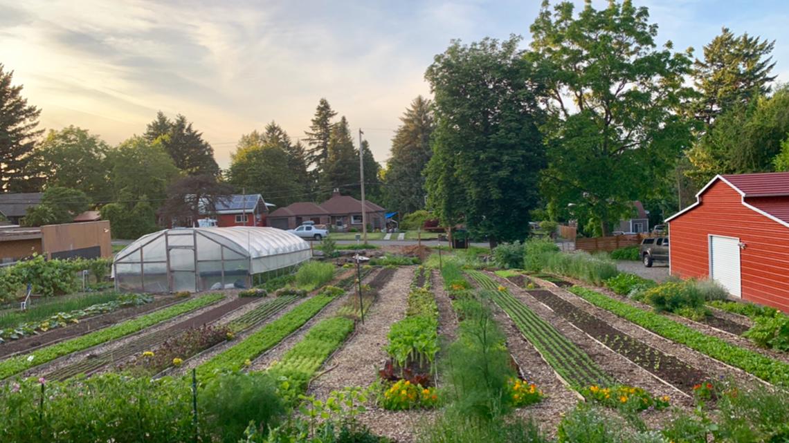 Portland farm offers support for those who've lost loved ones - Vimarsana News