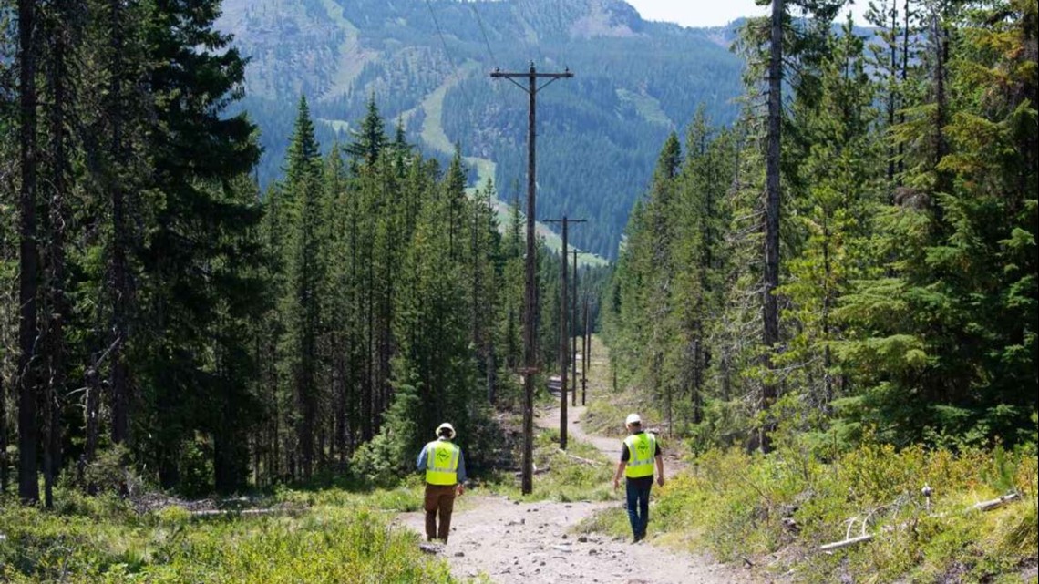 PGE's fire meteorologist keeps an eye out for power shutoffs - Vimarsana News